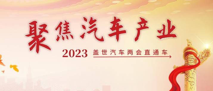 长安,奇瑞,广汽集团,海马,特斯拉