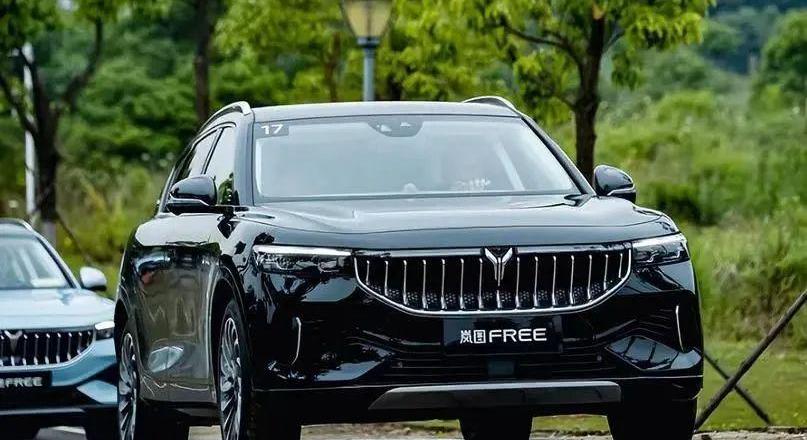 东风,岚图汽车,比亚迪,长安,北京