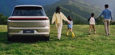 埃安,小鹏,理想汽车,蔚来,极氪