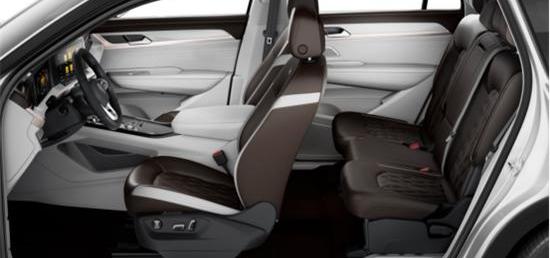 揽巡,大众,一汽