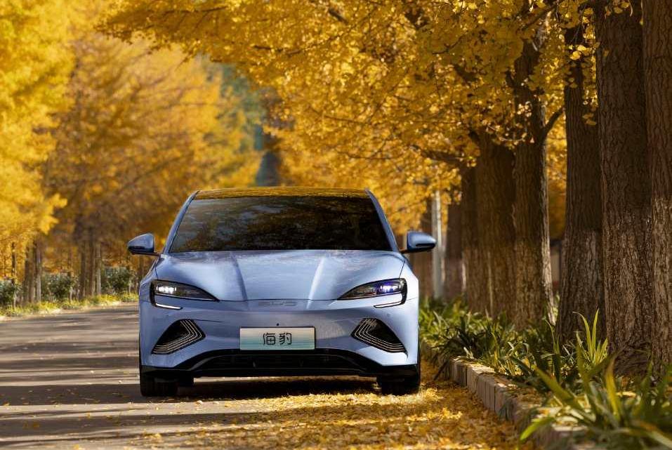 比亚迪,大众,理念,特斯拉,汉