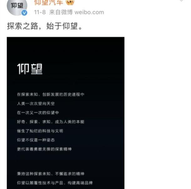 比亚迪,仰望,腾势