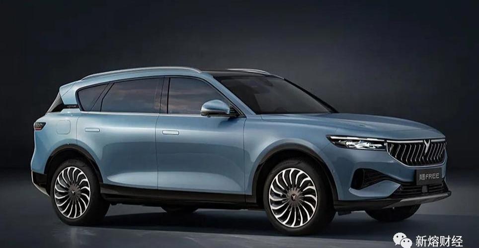 东风,岚图汽车,极氪,理想ONE,问界M5