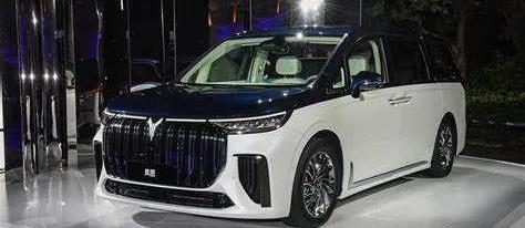 东风,岚图汽车,极氪,理想ONE,问界M5