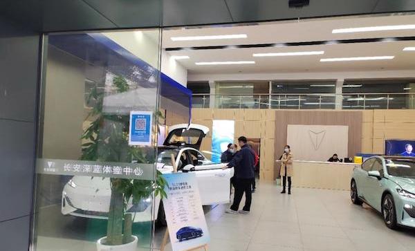 长安,特斯拉,比亚迪,奔腾,发现