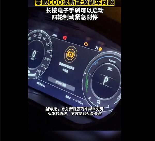 特斯拉,零跑汽车