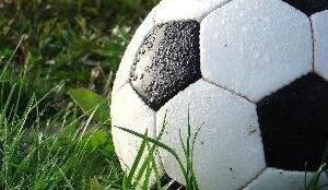 极氪,大众,名爵,起亚,现代