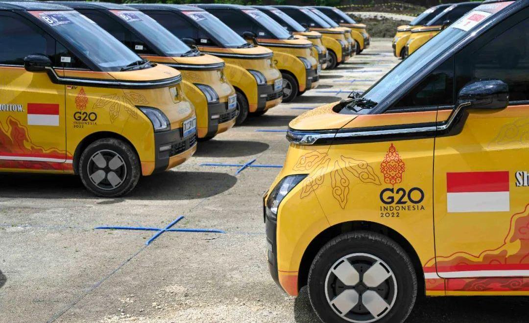 长城,比亚迪,宇通客车,哈弗,欧拉