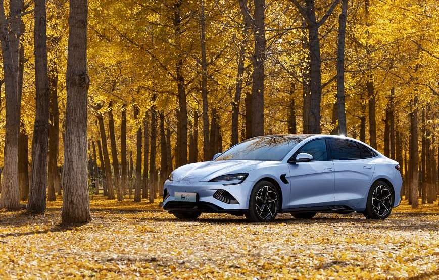 比亚迪,宝马,奇瑞,长安,东风