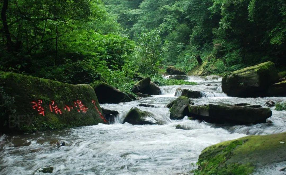 奔腾,奔腾B70,现代,大发,一汽