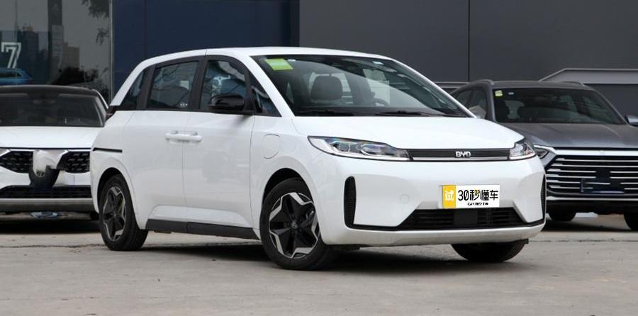 比亚迪,比亚迪D1