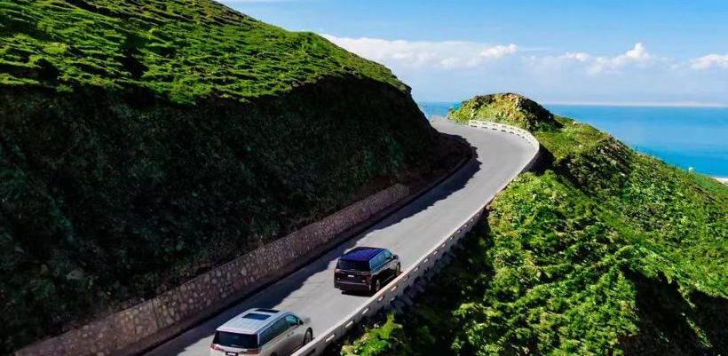 腾势,极氪,腾势D9,别克,别克GL8