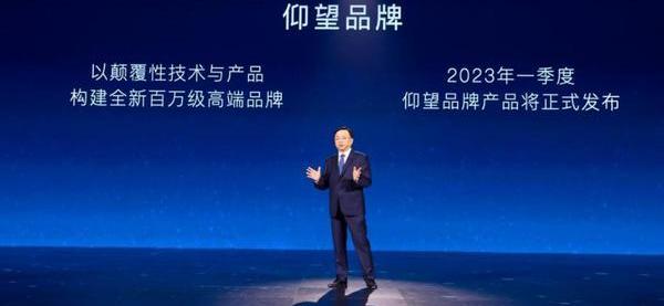 比亚迪,仰望,海豹,大众,腾势