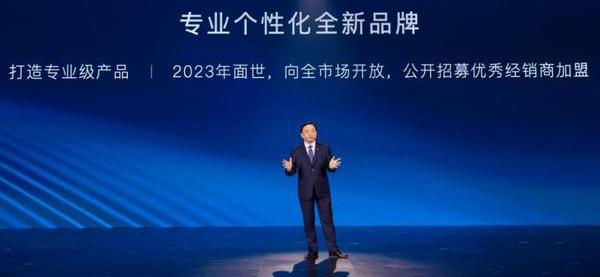 比亚迪,仰望,海豹,大众,腾势