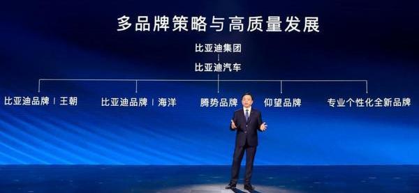 比亚迪,仰望,海豹,大众,腾势