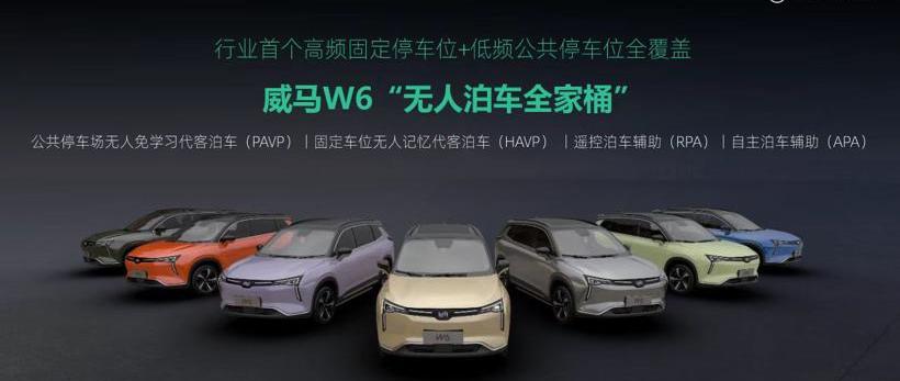 极氪,埃安,威马汽车,爱驰,特斯拉