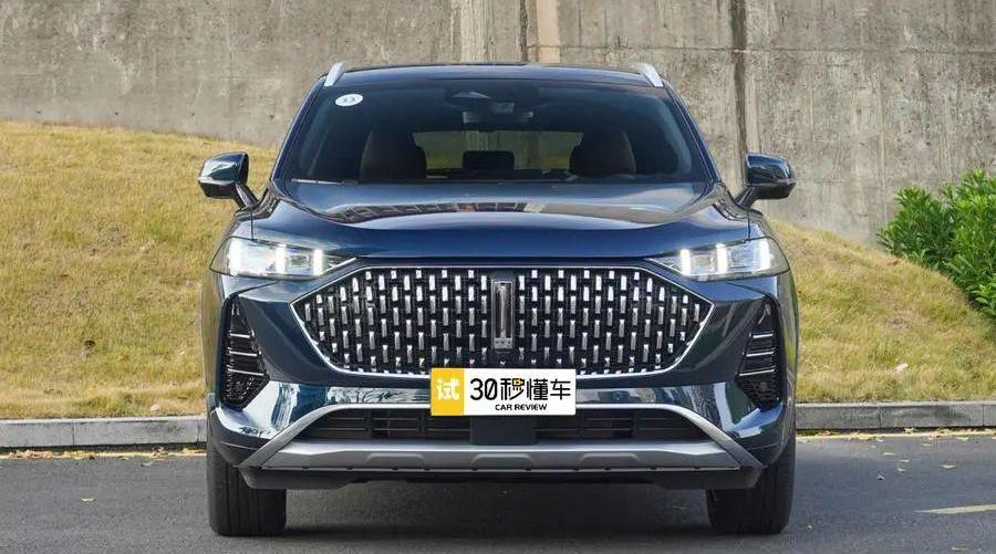 长城,比亚迪,哈弗,哈弗H6,蔚来