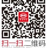 比亚迪,现代