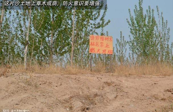 比亚迪