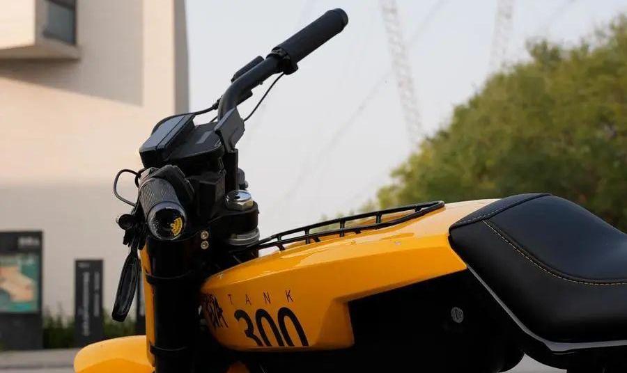 坦克,坦克300,远程