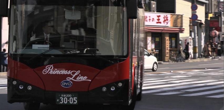 比亚迪,汉,世纪,红旗,长城
