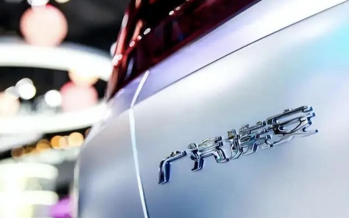 比亚迪,广汽集团,长安,东风,长城