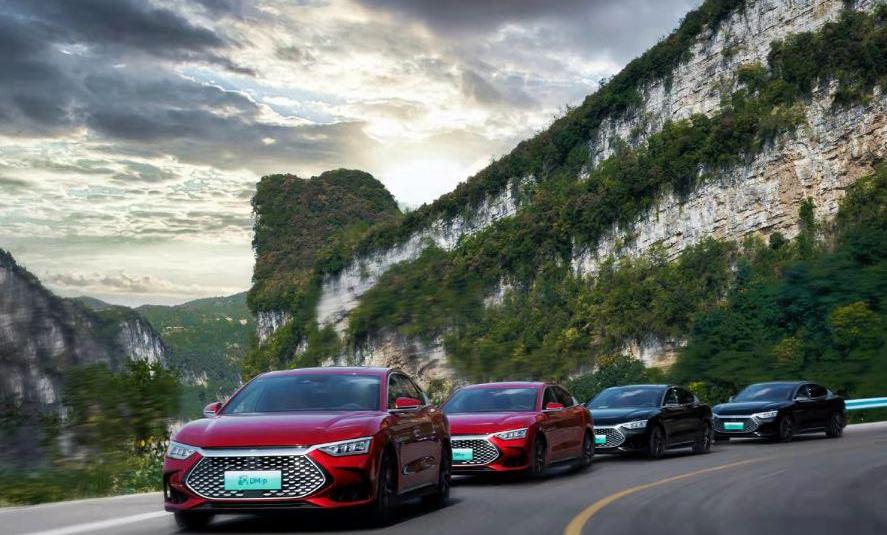 比亚迪,特斯拉,Model Y