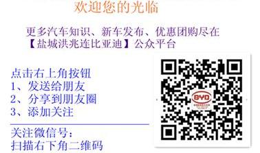 比亚迪,理念,远程