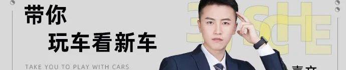 埃安,法拉利,红旗,优越,兰博基尼