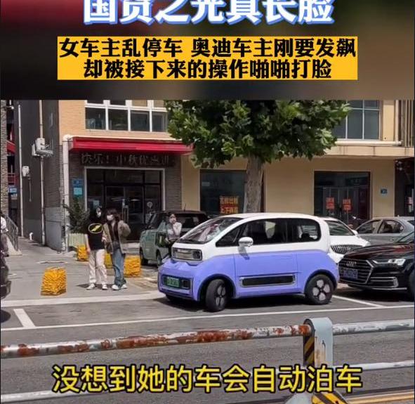 奥迪,宝骏KiWi EV,宝骏