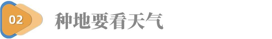 宇通客车,比亚迪,发现,丰田,奔驰