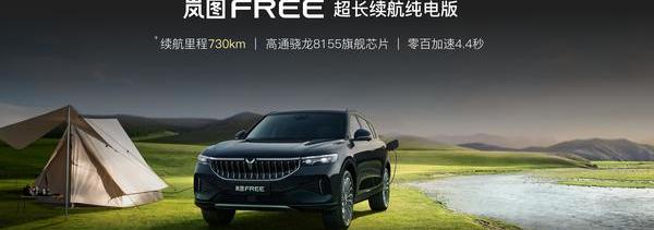 岚图汽车,东风,现代,理念