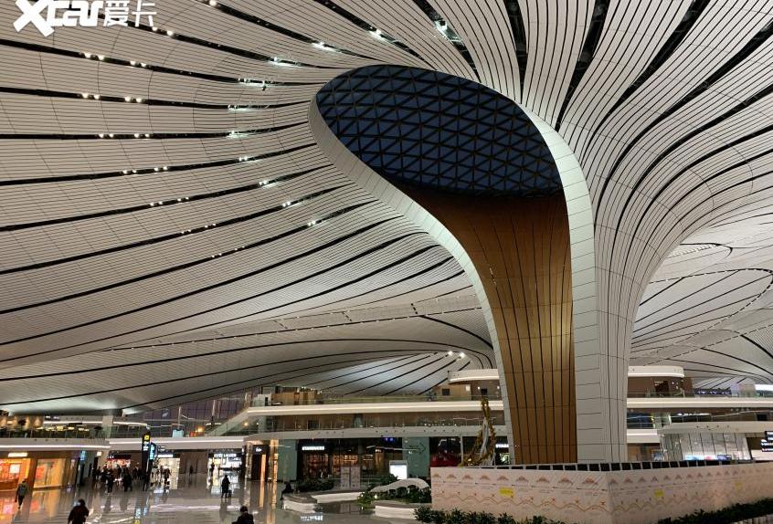 奇骏,北京,东风,日产