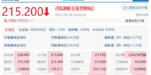 比亚迪