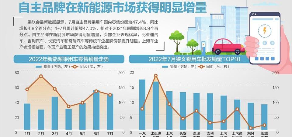 比亚迪,奇瑞,吉利汽车,特斯拉,长安