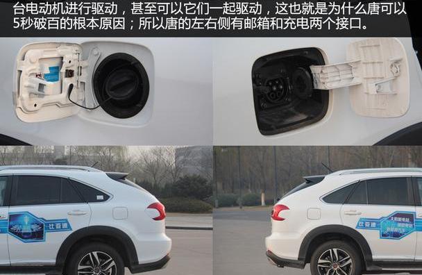 比亚迪,保时捷,东风,特斯拉