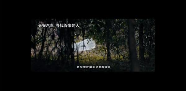奥迪,长安