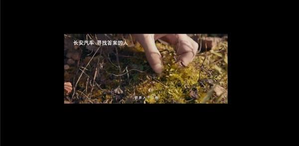 奥迪,长安