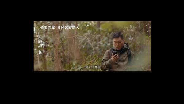 奥迪,长安