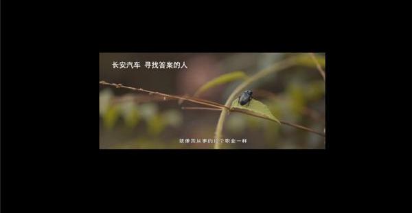奥迪,长安