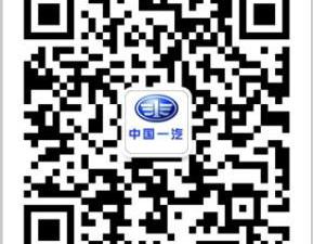 比亚迪,一汽,丰田,埃尔法,众泰