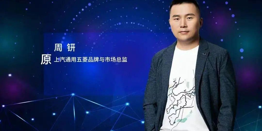 北京,宝马,特斯拉,比亚迪,理想L9