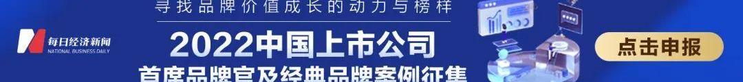 大众,保时捷,奥迪,特斯拉,奥迪Q6