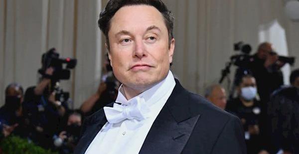 特斯拉,Model Y