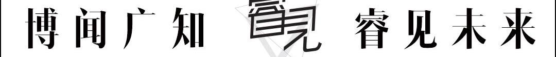 理念,合创,大众,高合HiPhi,高合HiPhi X
