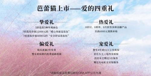欧拉,大众,欧拉芭蕾猫,现代,长城