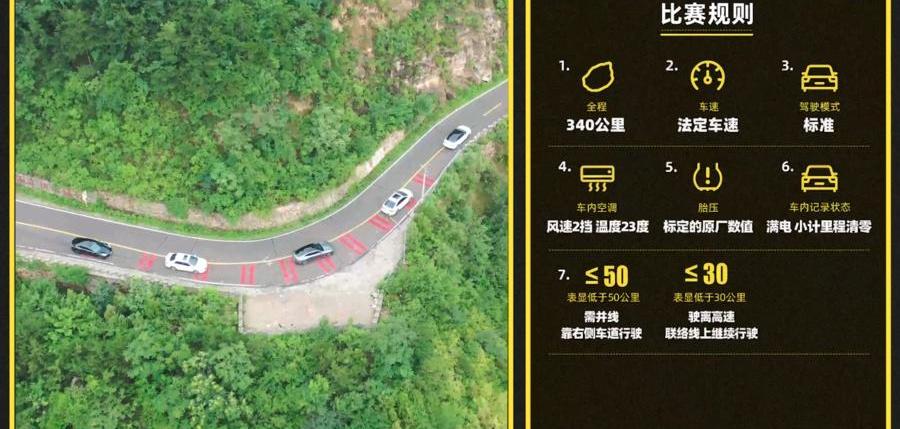 几何A,小鹏,小鹏P7,AION S,特斯拉