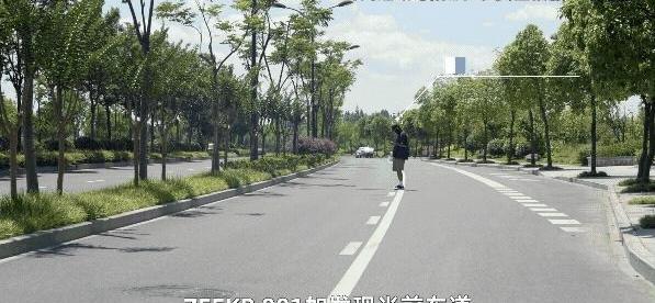 极氪
