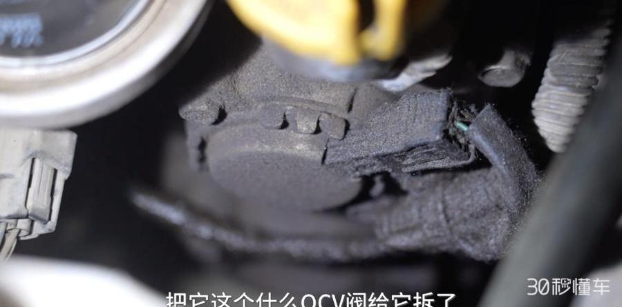 森林人,发现,北京,斯巴鲁