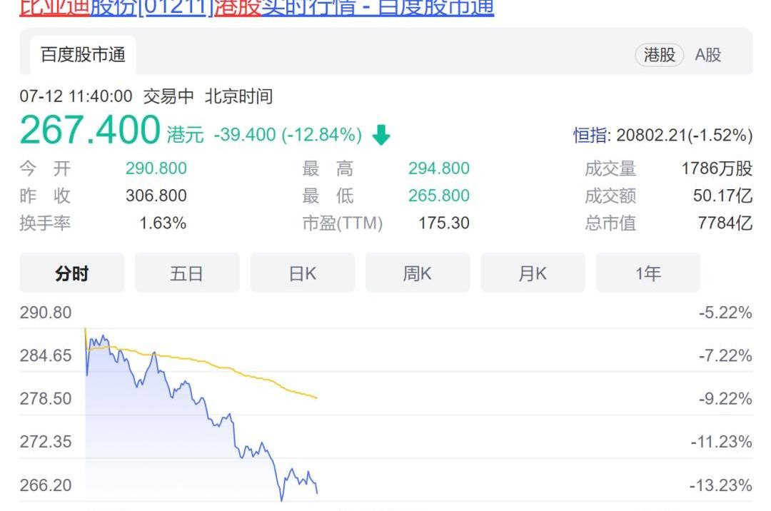 比亚迪,摩根